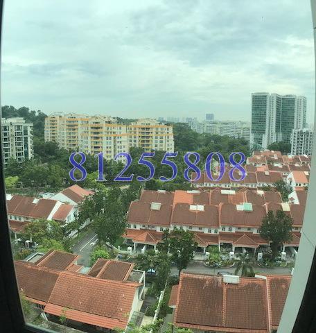 Merawoods (D23), Condominium #170465672